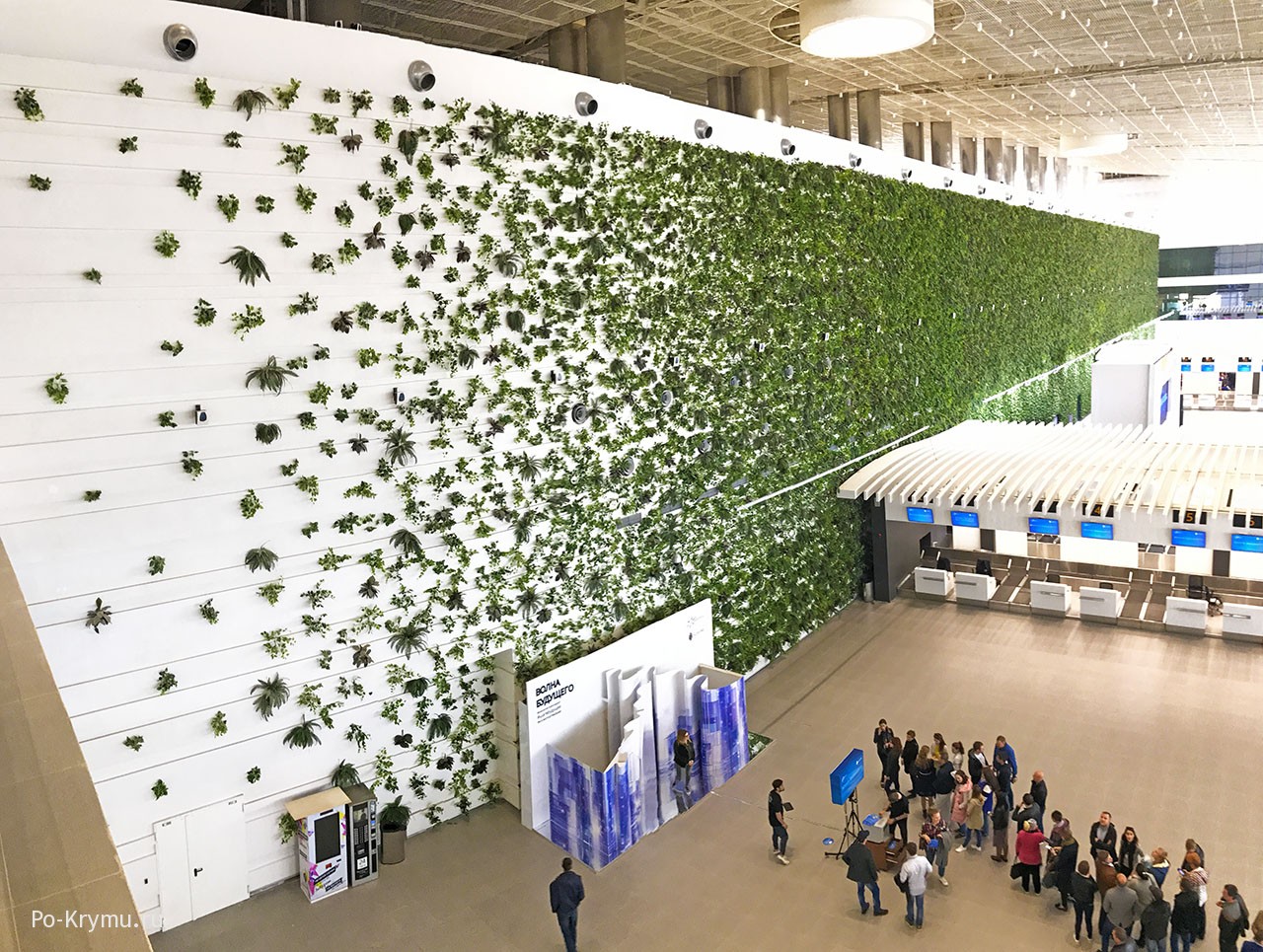 Фото зеленой стены нового терминала